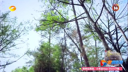 Tần Thời Minh Nguyệt - Tập 4 [Vietsub]