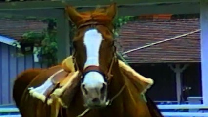 Bet you've never seen this before!