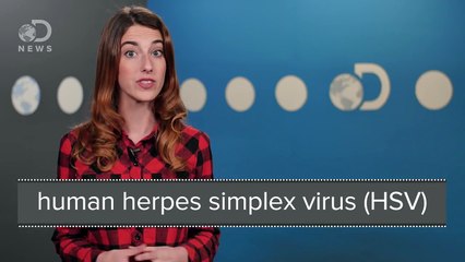 Why Do So Many People Have Herpes?
