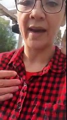 La plus belle bûche de Noël en forme de tronc d'arbre