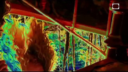 The Acid Flashbacks of True Detective -- Science on the Web #47