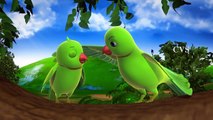 Chitti Chilakamma Parrots 3D Animation Telugu Rhymes for children with lyrics