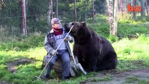 Bear Man Of Finland Has An Unbreakable Bond With Brown Bears-copypasteads.com