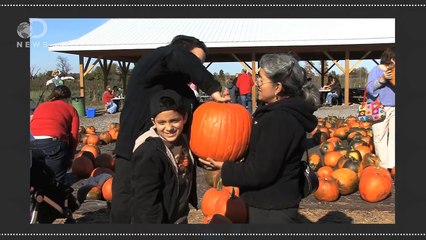 Why Grandparents Are Key To Human Survival