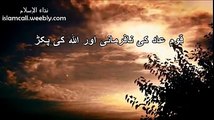 Qoom e Aad Per Allah ki Pakar - By Maulana Tariq Jameel