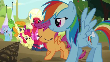 MLP: FiM – The Obstacle Course “Brotherhooves Social” [HD]