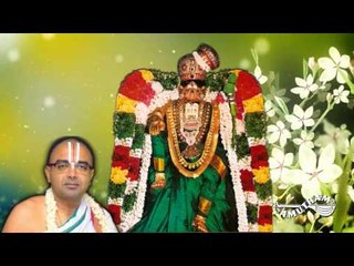 Srivilliputhur Part01- Velukkudi Krishnan Swamy- Divya Desa Vaibhavam