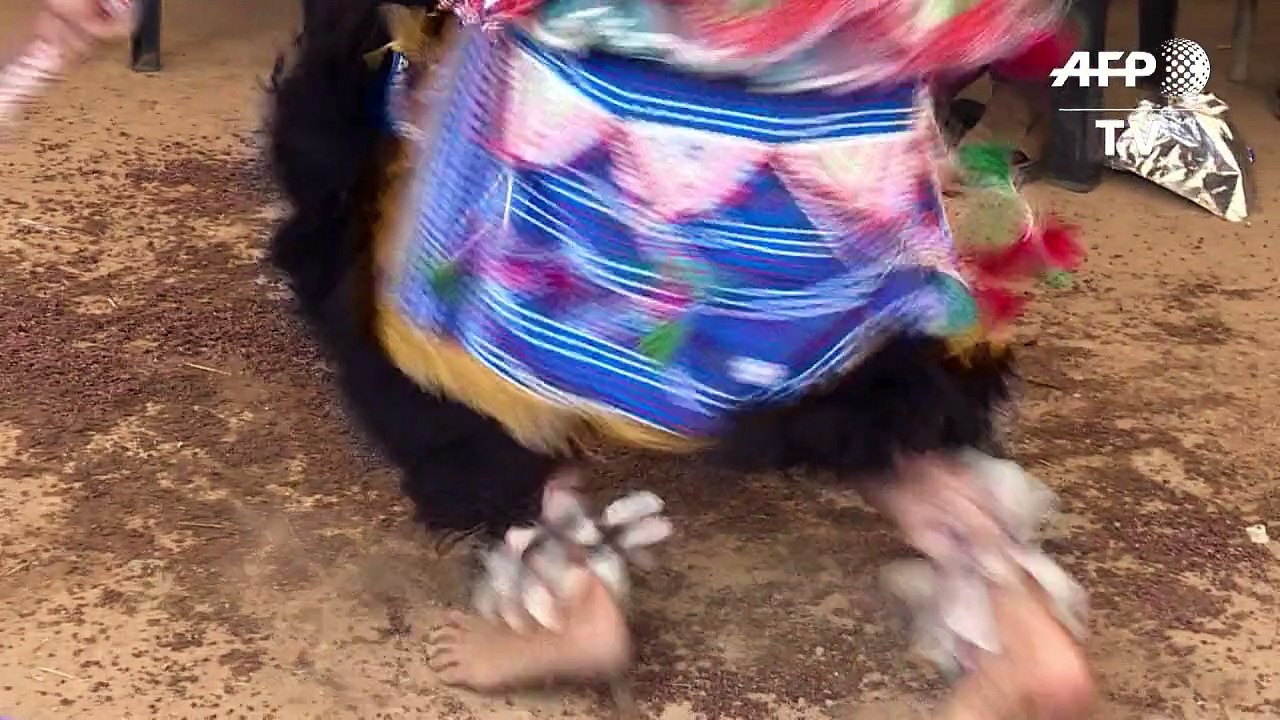 12-jähriger Weißer als Heiler in Südafrika gefeiert