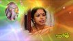 Unaiyandri - Sri Aravindha Annai - Sudha Ragunathan