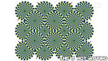 Your Trickster Brain: Optical Illusions -- Science on the Web #46