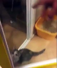 Have you ever been this excited about anything in your entire life?