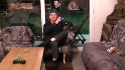 12.9 HONDJE VAN GOD de STAFFORDLAND