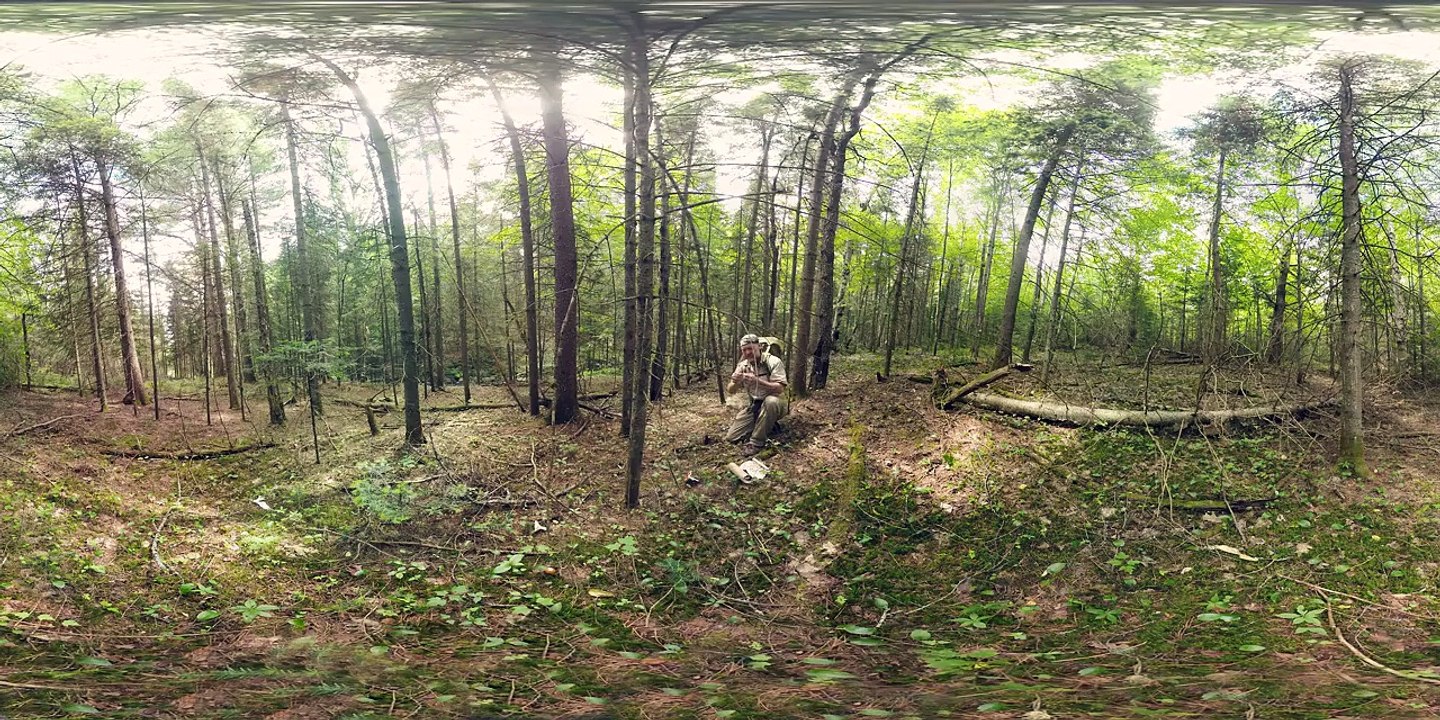 Foraging for Food | Survivorman (360 video)