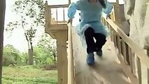 Cute baby pandas enjoy playing on slide