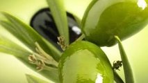 طريقة تخليل وتصبير الزيتون الاخضر بالبيت Façon Olive conserve المطبخ التونسي Tunisian Cuis