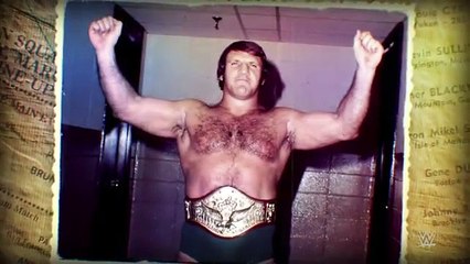 wwe Triple H Is Perfect Challenger for Roman Reigns and 5 things