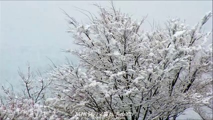 Francfranc 2014 クリスマスソングBENI「Fun Fun Christmas」