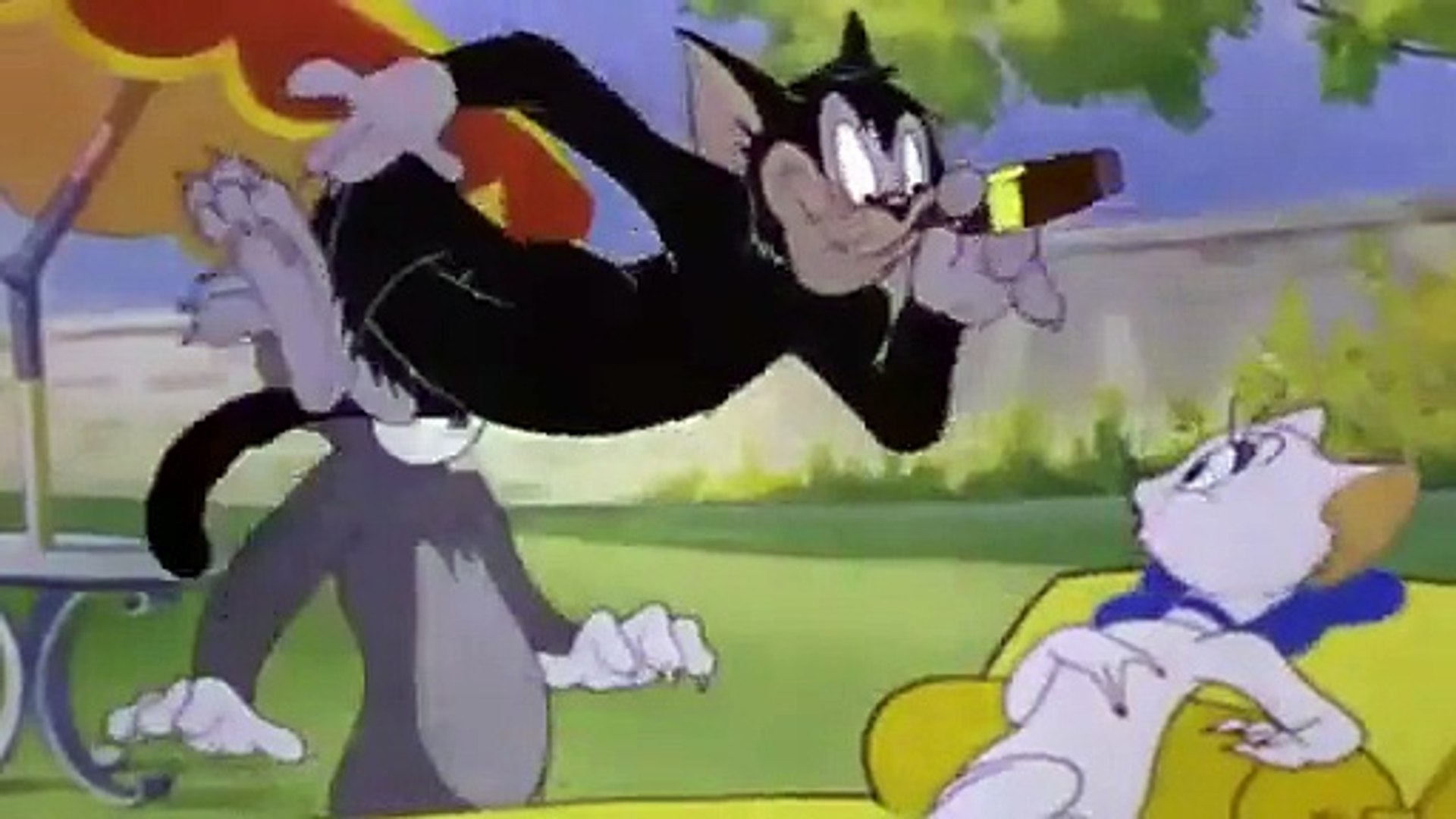 Tom and Jerry Cartoon Full Episode - video Dailymotion