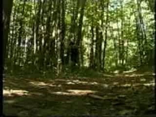 Foret - David Belle - Parkour