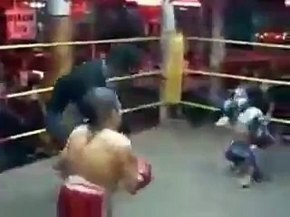 Small Height Fighters 2015- Must watch