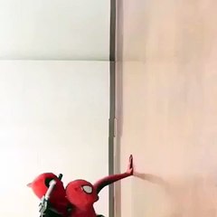 Spider-Man K Baad Ab Spider-Dog Agya Video Main Dekhein