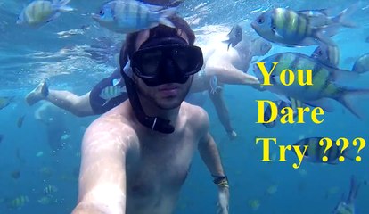 16 Months of Unemployment for Tourism - Travel