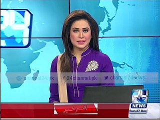 Sukharr, leader of the PPP, Rehman Malik talking to media