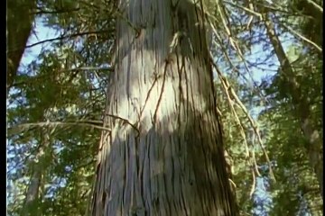 Magnificent Glacier National Park - Full Vintage Documentary - 8058