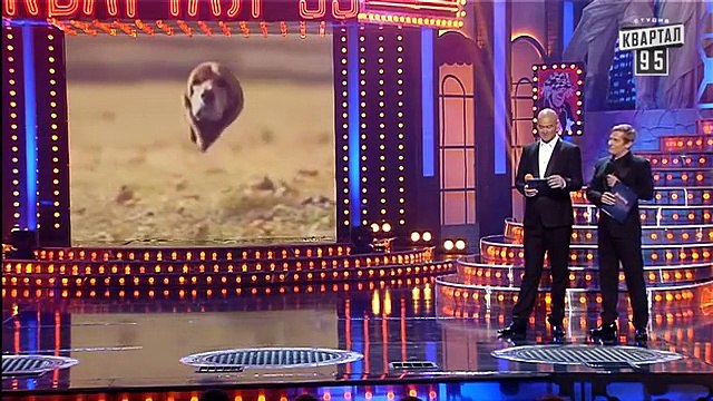 Политическое Дискавери - Янукович очень скучает по Украине - Вечерний Квартал 26.12.2015