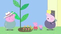Peppa Pig Peppa and Georges Garden Clip