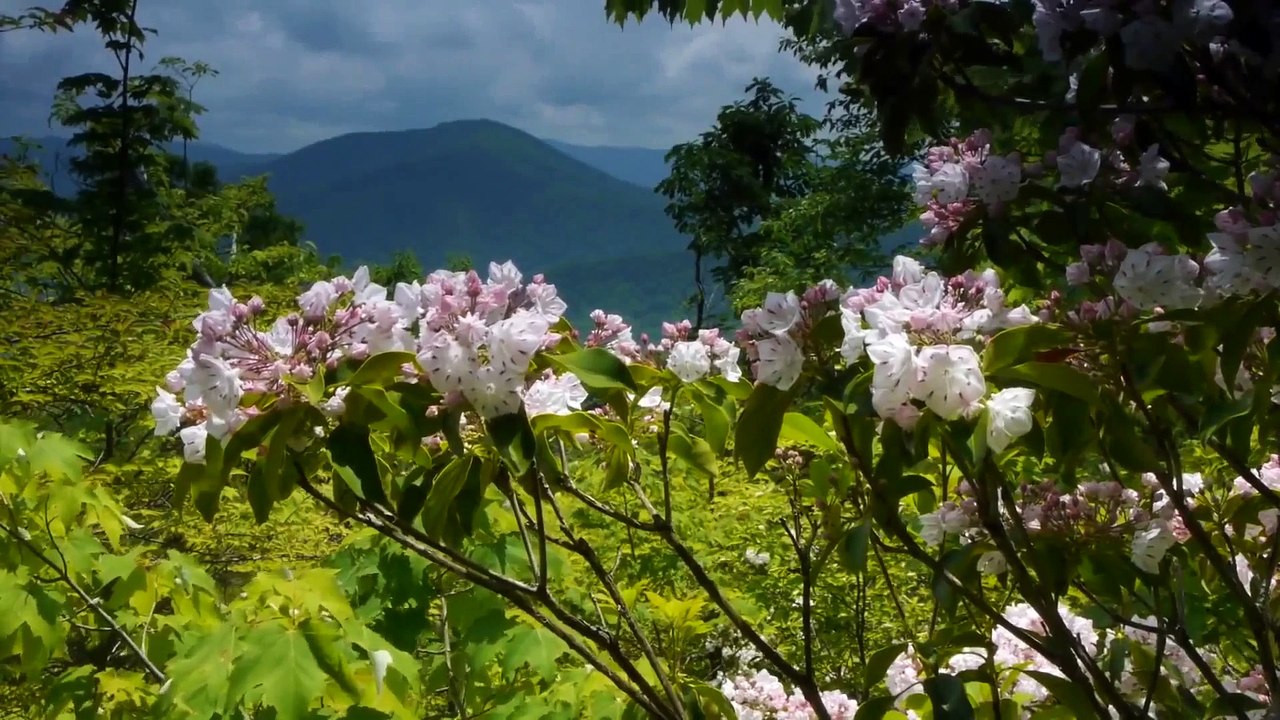 Anne olupta evladına kavusamiyan yada annesine kavusamayanlar Rabbim tez zamanda kavussunlar