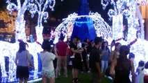 Christmas Tree  video  Orchard Road Singapore Part (3)