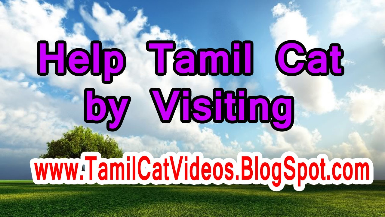 www.TamilCatVideos.BlogSpot.com
