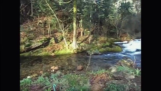 Pobra Inhóspita, Pobra do Caramiñal 2015