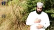 Ya Nabi Salam HD Full Video Naat [2016] Qari Hamid Sharif - Naat Online