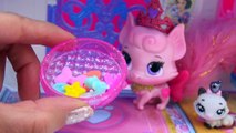 Littlest Pet Shop Glitter Pets Exclusive LPS Set Unboxing at Disney Princess Palace Pets C