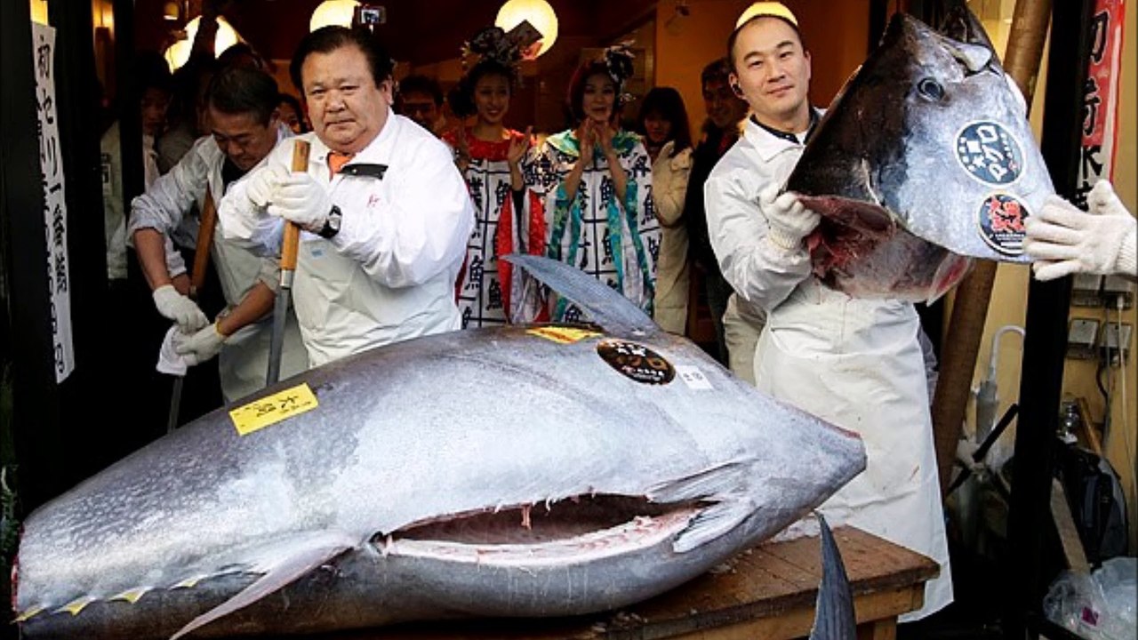 World’s Most Expensive  Fish