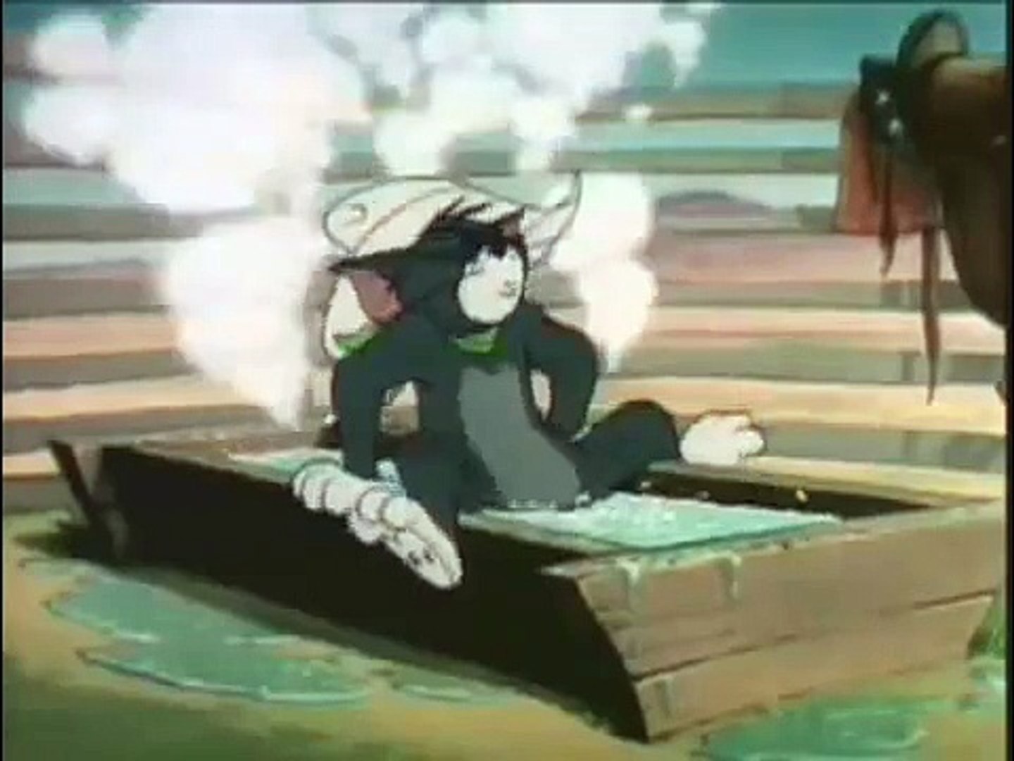 Tom And Jerry Tom Cat Scream