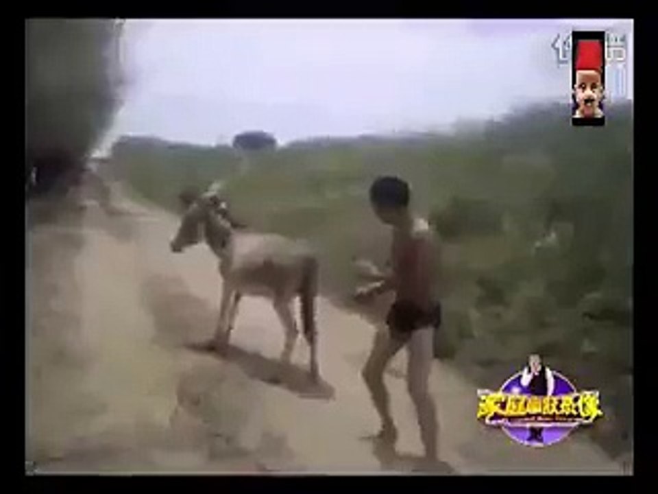 fun with donky