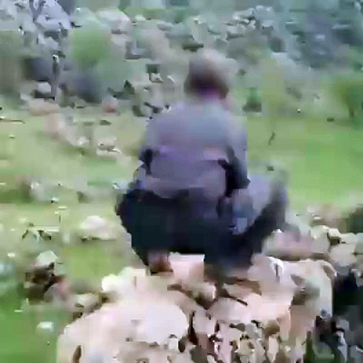 funny fire