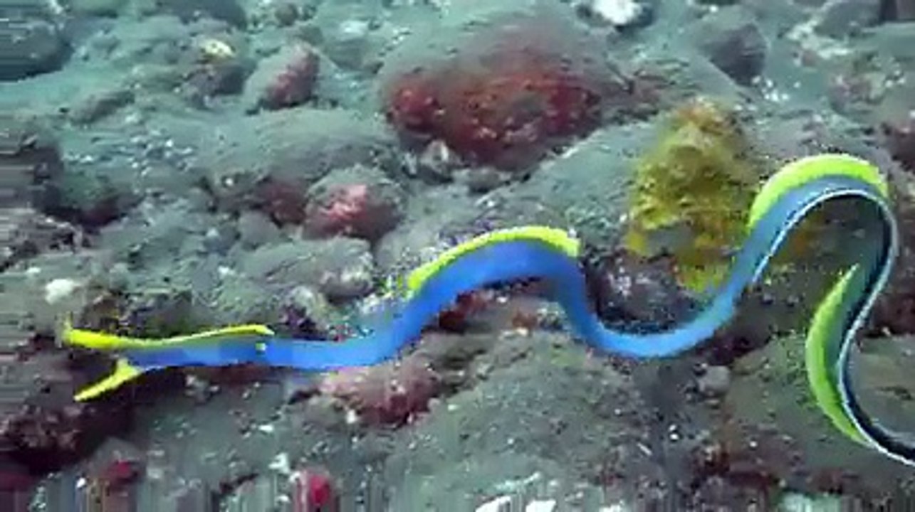 سبحان الله - Very Beautiful And Inspiring HD Video