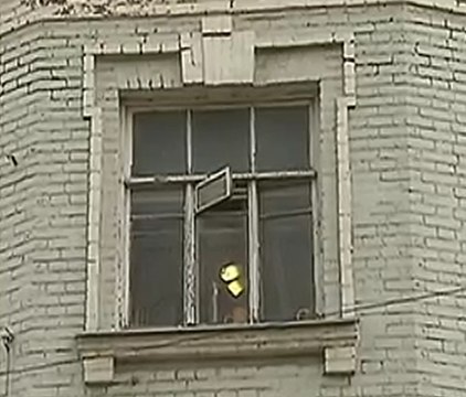 За особняк в центре Москвы пожилую художницу пытали и делали психбольной