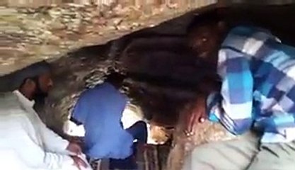 کیا آپ نے غار ثور دیکھی ہے؟ نہیں تو ویڈیو میں چند مناظر دیکھیں