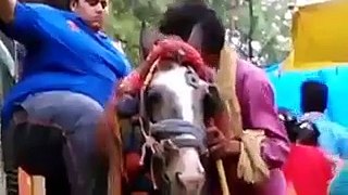 funny fat boy falls from horse ,,hahaha