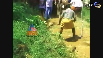 Leopard attack Human in India Compilation 2015