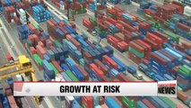 Korea faces risk of economic growth decline similar to Japan: IMF director