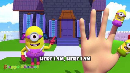 Minion Despicable Me Finger Family _ Nursery Rhymes _ 3D Animation In HD From Binggo Channel