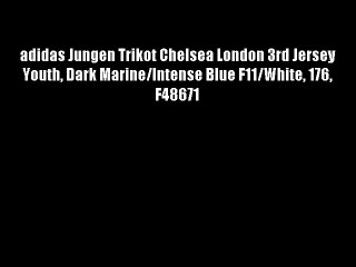 adidas Jungen Trikot Chelsea London 3rd Jersey Youth Dark Marine/Intense Blue F11/White 176