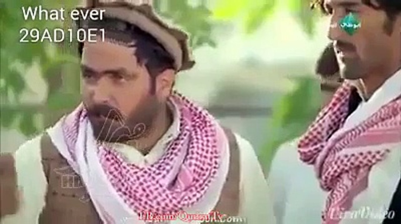 Pathan Arbi fight-
