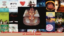 Read  Egyptian Museum In Cairo A Walk Through the Alleys of Ancient Egypt Ebook Free